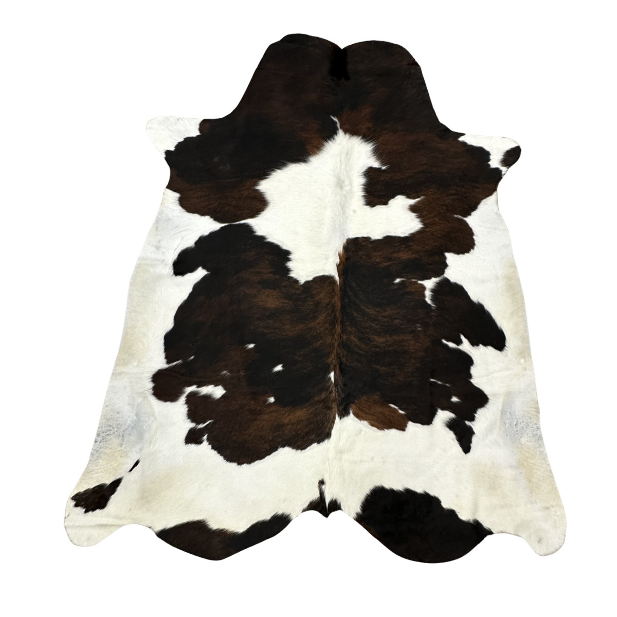 Hair on Cow - 15