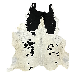Hair on Cow - 16