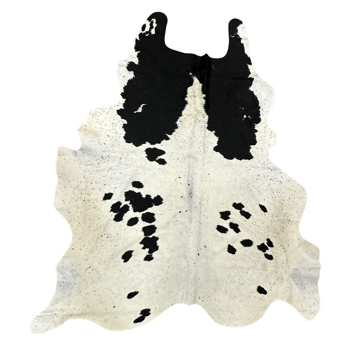 Hair on Cow - 16