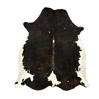 Hair on Cow - 24