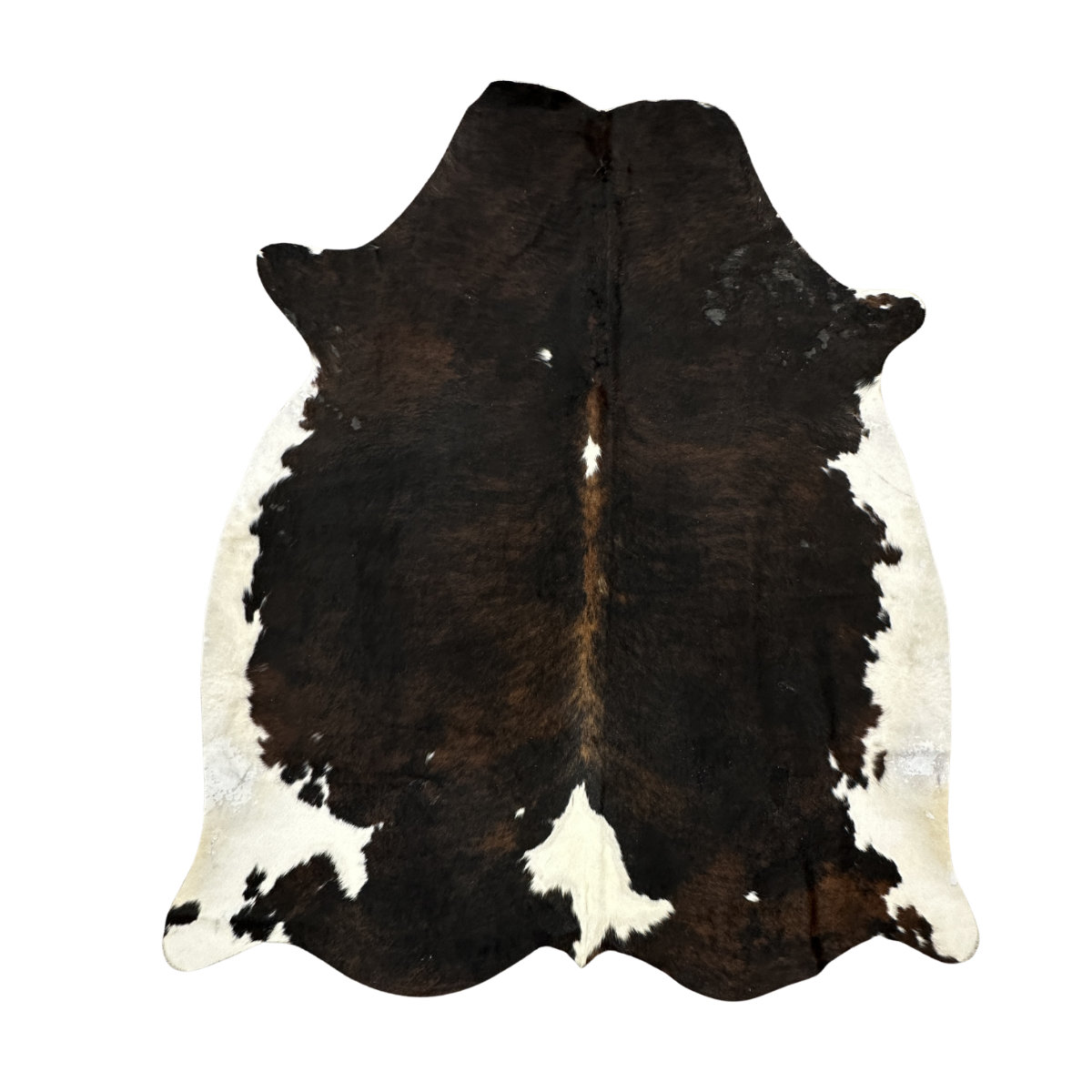 Hair on Cow - 24