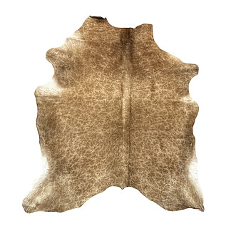 Hair on Cow - 29