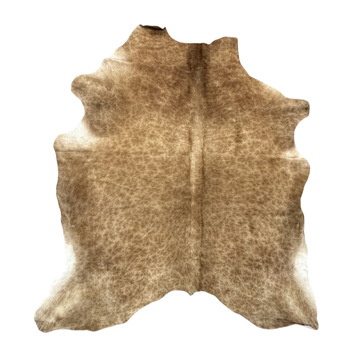 Hair on Cow - 29