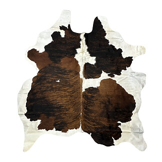 Hair on Cow - 34