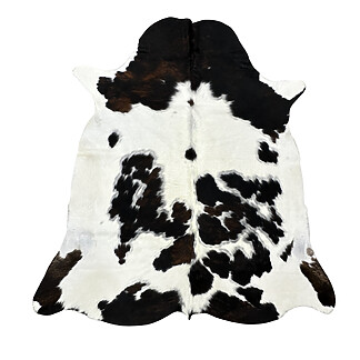 Hair on Cow - 35