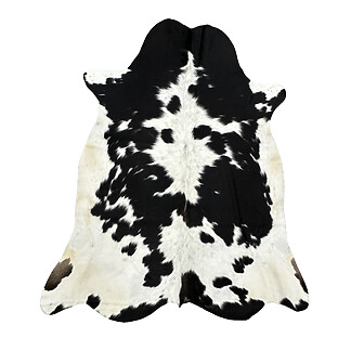 Hair on Cow - 37