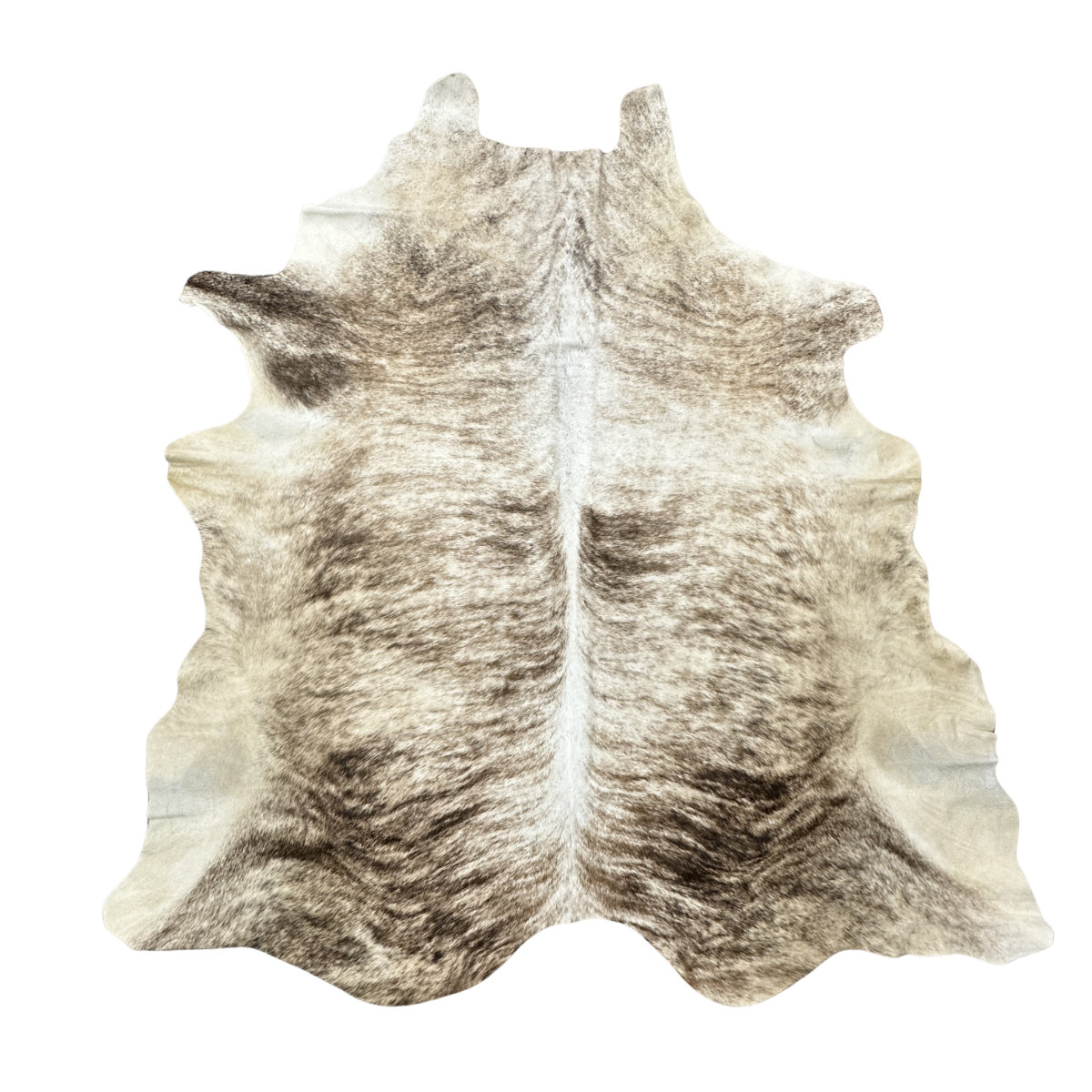Hair on Cow - 4