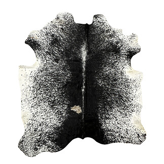 Hair on Cow - 47