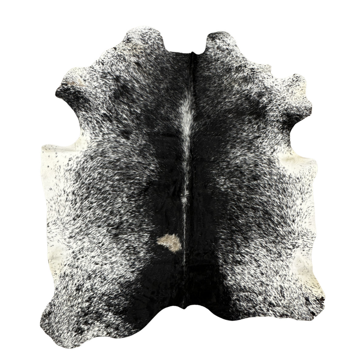 Hair on Cow - 47