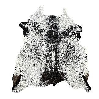 Hair on Cow - 53