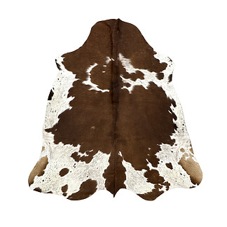 Hair on Cow - 54