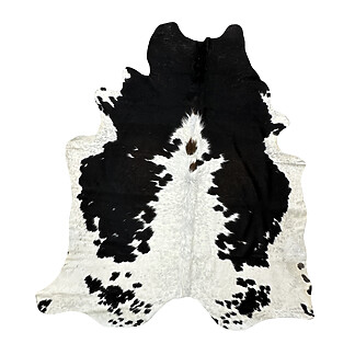 Hair on Cow - 57