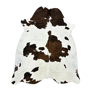 Hair on Cow - 60