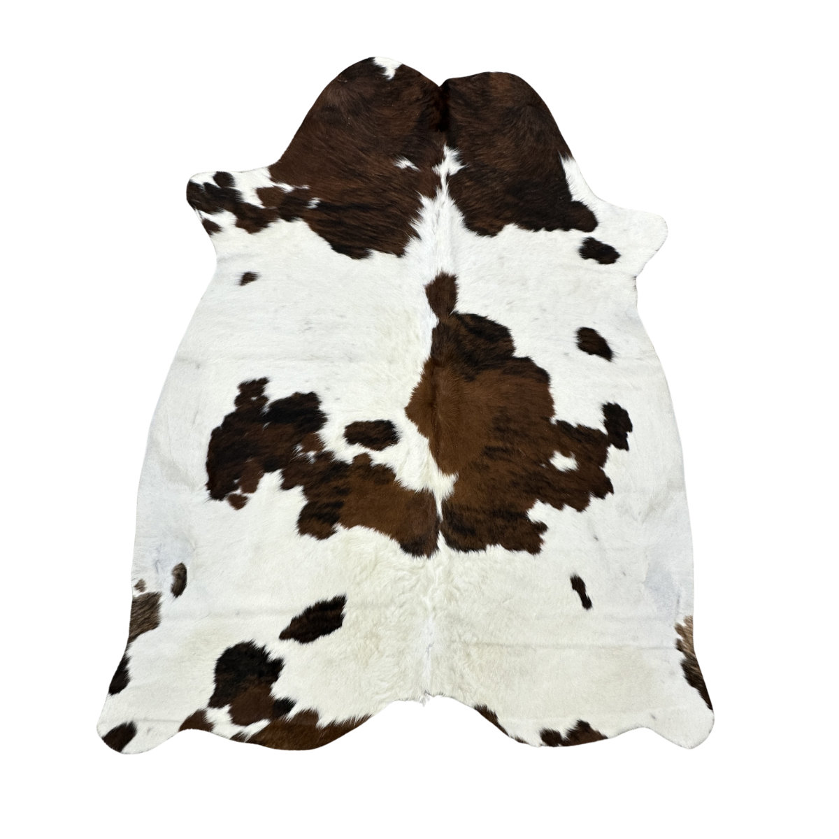 Hair on Cow - 60