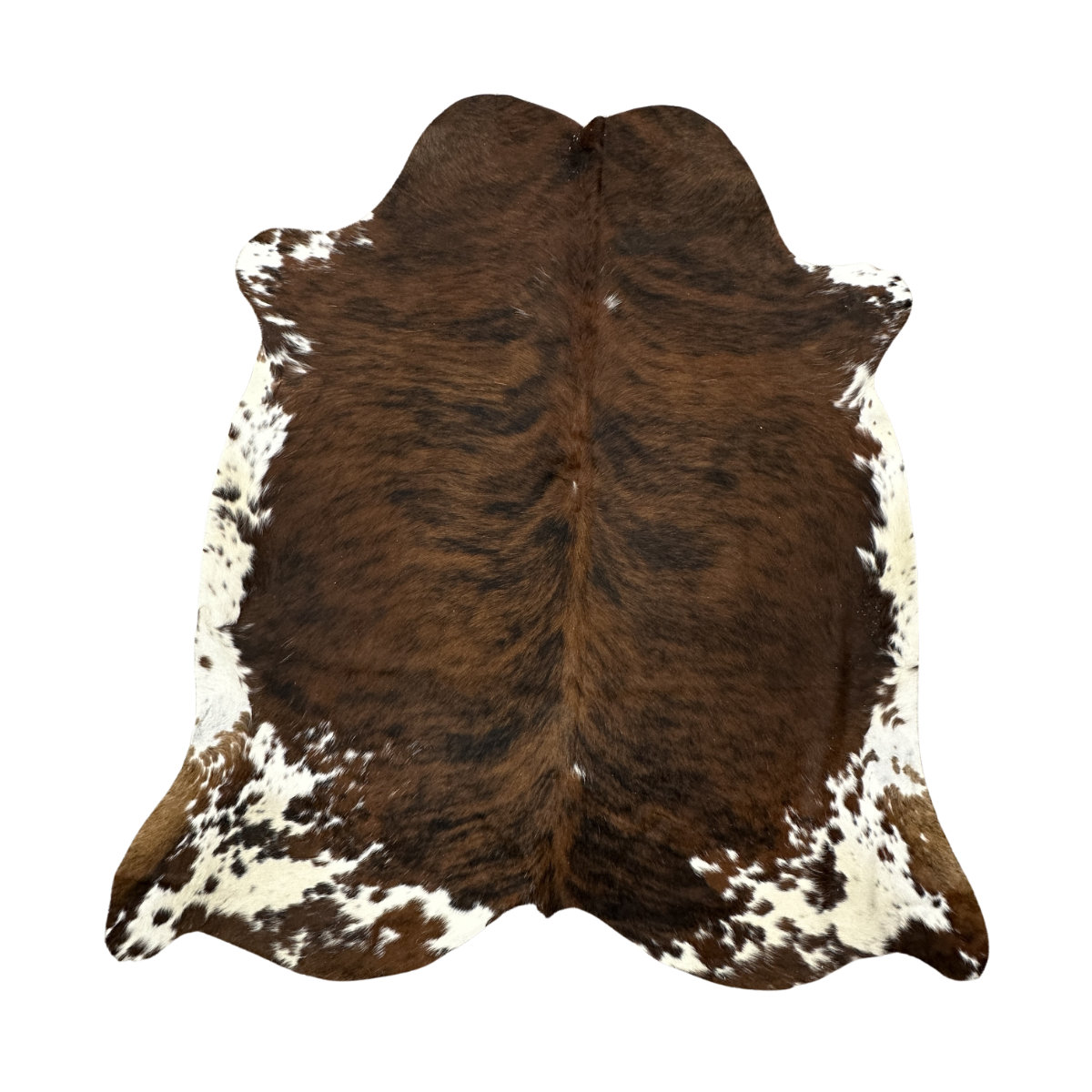 Hair on Cow - 62