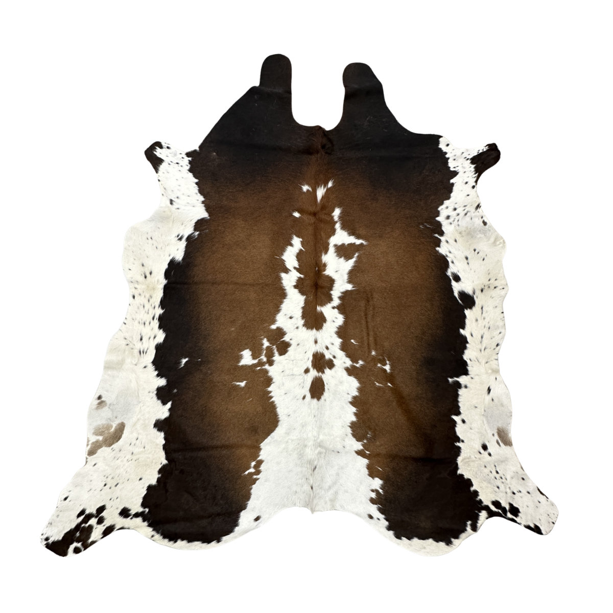 Hair on Cow - 63