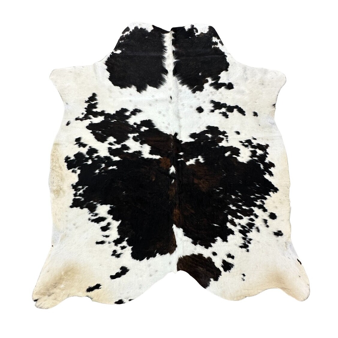 Hair on Cow - 3