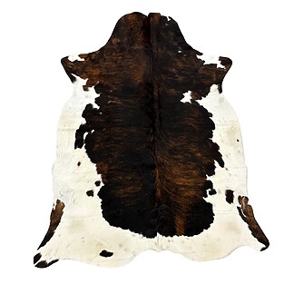 Hair on Cow - 5