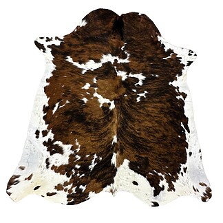 Hair on Cow - 6