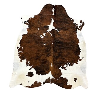 Hair on Cow - 19