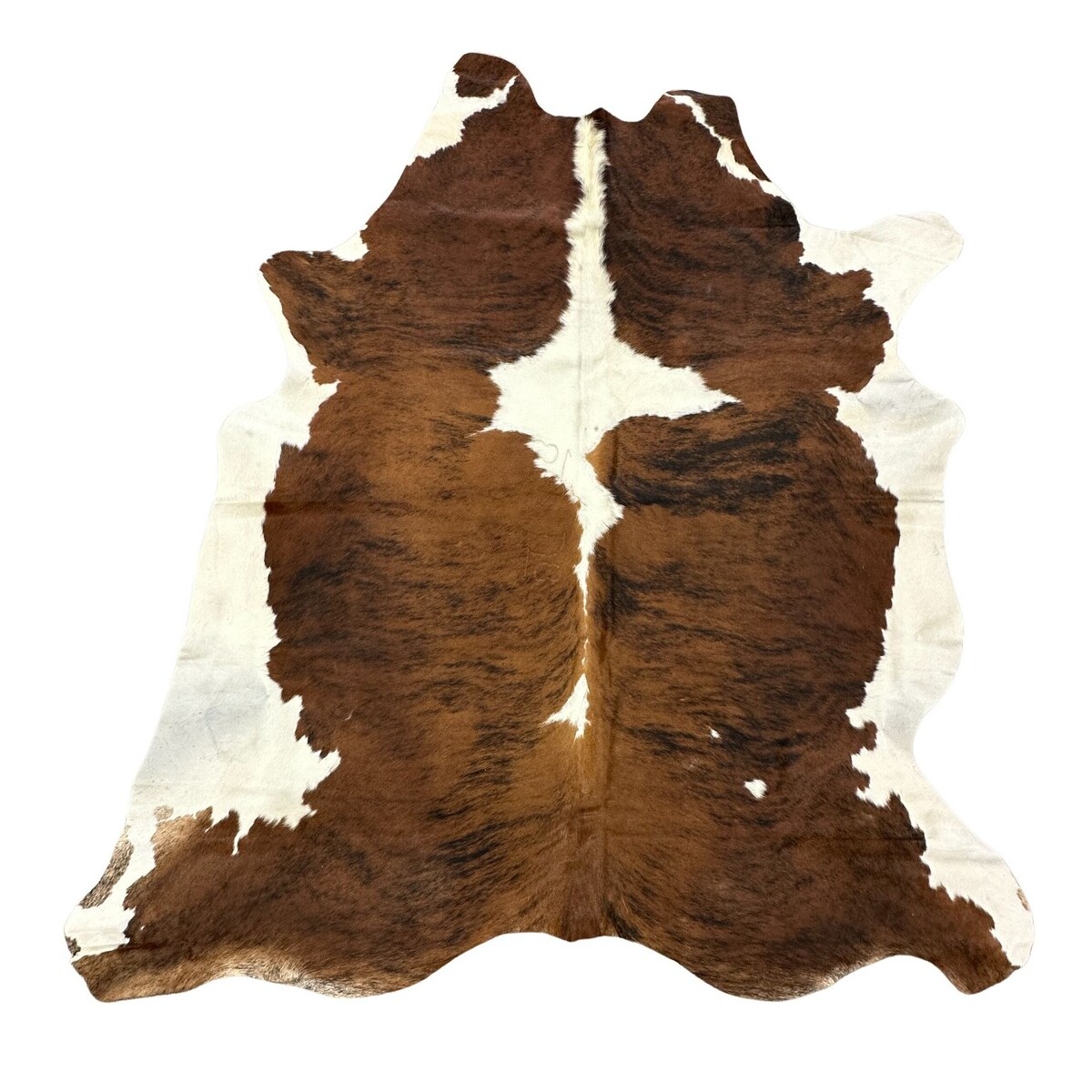 Hair on Cow - 23