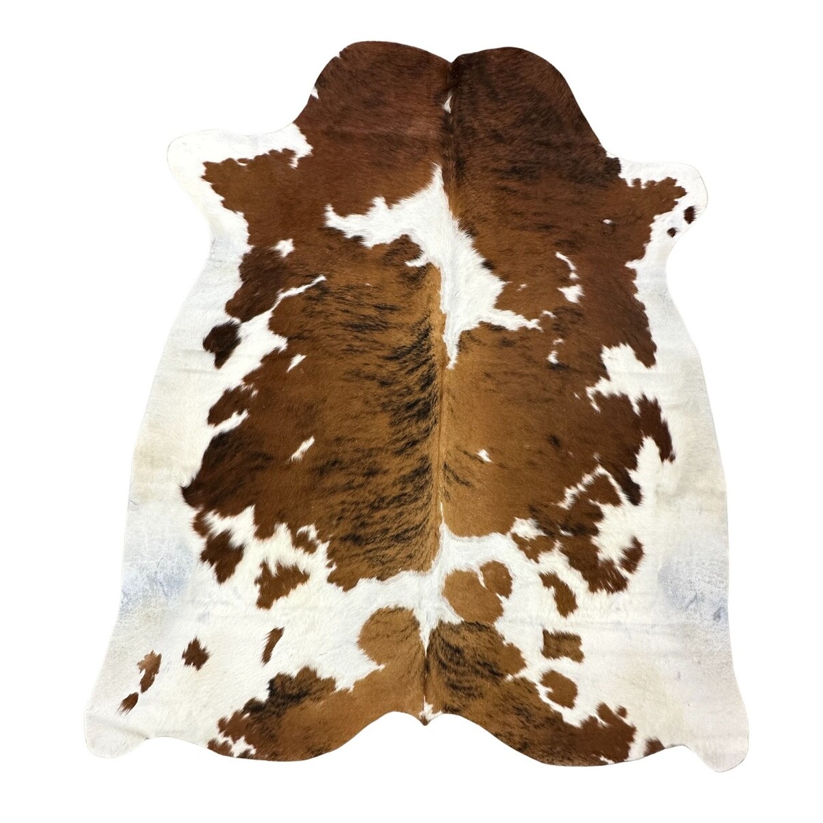 Hair on Cow - 26