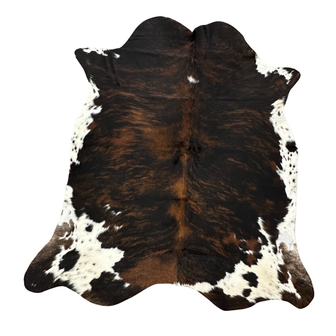Hair on Cow - 33