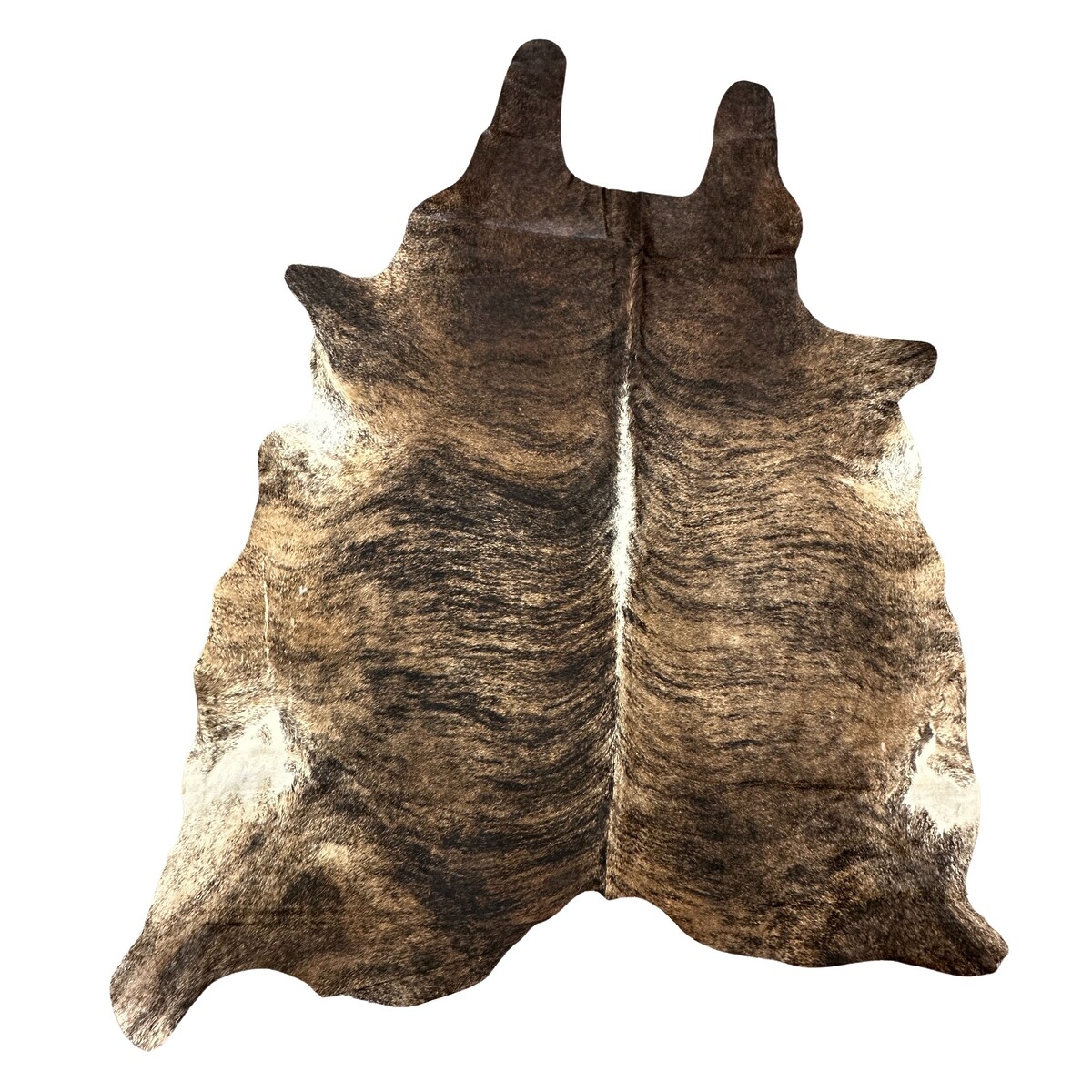 Hair on Cow - 38