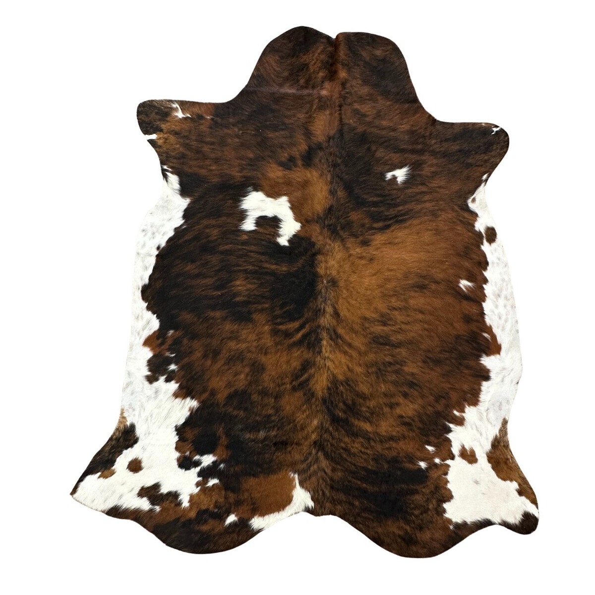 Hair on Cow - 40