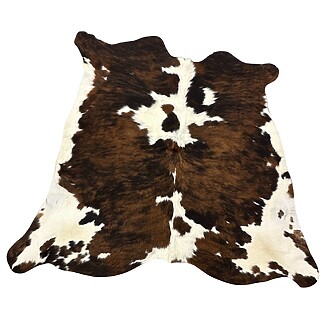 Hair on Cow - 49