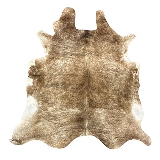 Hair on Cow - 51