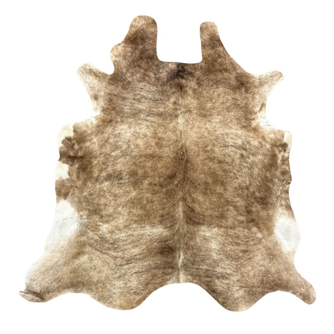 Hair on Cow - 51
