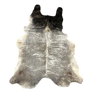 Hair on Cow - 52