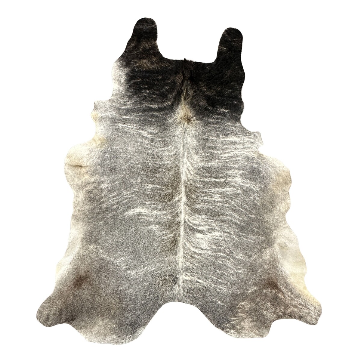 Hair on Cow - 52