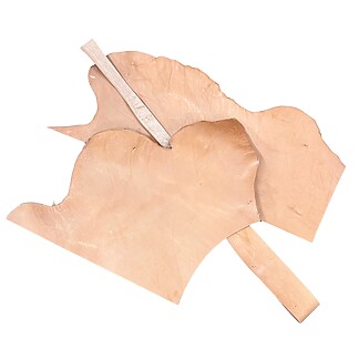 Hermann Oak Skirting Scrap