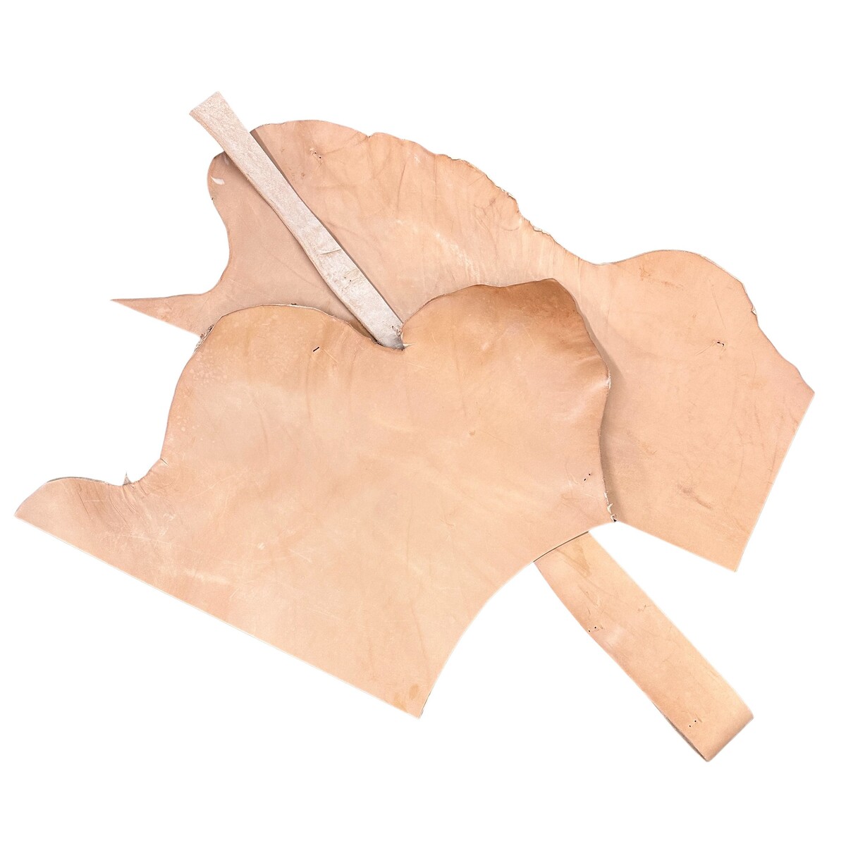 Hermann Oak Skirting Scrap